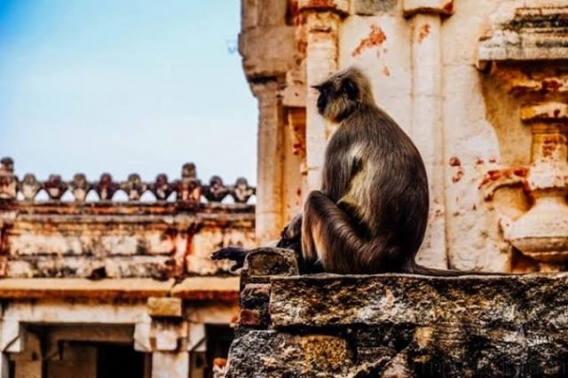 Kishkinda - A Mystical Monkey Kingdom In Hampi