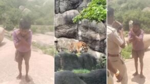 Koppal Youth Uses AI Tiger Photo to Dodge Work, Forest Officials Impose Punishment