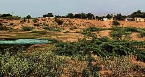 Reservoirs in Koppal Taluk Dry Up, Threatening Livestock and Crops