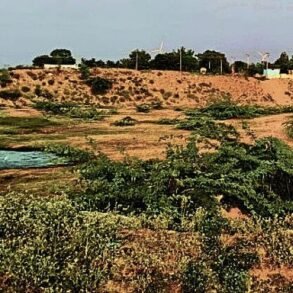 Reservoirs in Koppal Taluk Dry Up, Threatening Livestock and Crops