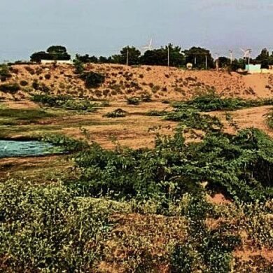 Reservoirs in Koppal Taluk Dry Up, Threatening Livestock and Crops