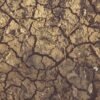 Vijayanagara district administration requests Rs 249 crore in drought relief as Central team arrives for assessment