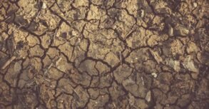 Vijayanagara district administration requests Rs 249 crore in drought relief as Central team arrives for assessment