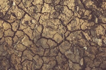Vijayanagara district administration requests Rs 249 crore in drought relief as Central team arrives for assessment