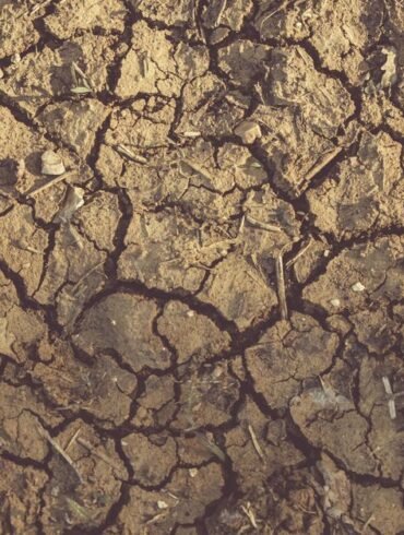 Vijayanagara district administration requests Rs 249 crore in drought relief as Central team arrives for assessment