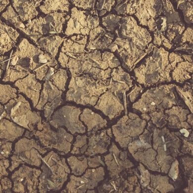 Vijayanagara district administration requests Rs 249 crore in drought relief as Central team arrives for assessment