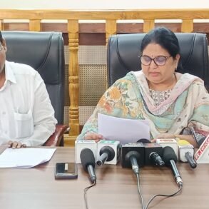 Vijayanagara district final voter list released with 10.08 lakh electors